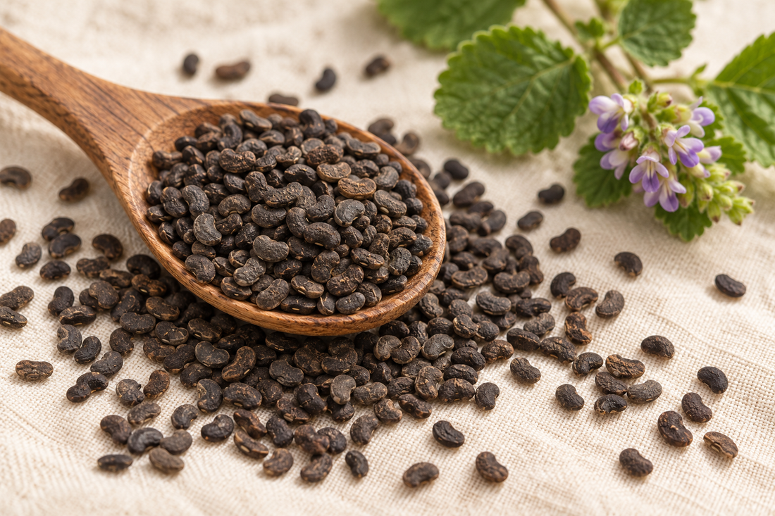 Babchi seeds in a wooden bowl beside a flowering sprig of the babchi plant