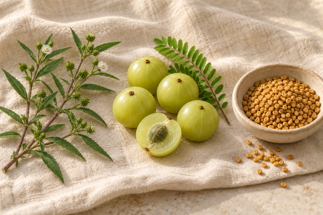 A sprig of bhringraj with small white flowers, whole amla fruits and a bowl of fenugreek seeds on a cream surface